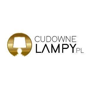Eleganckie kinkiety do salonu - Lampy led - Cudowne Lampy